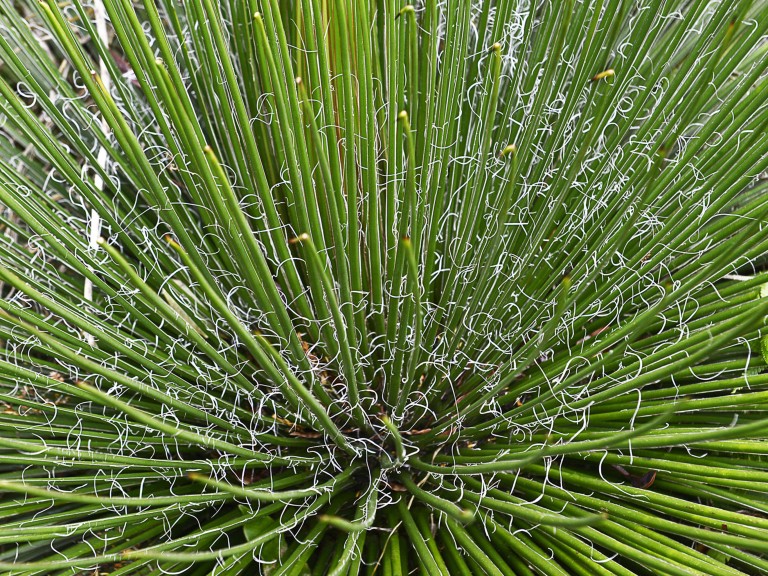 204_opg_20190731_Bretagne_Tregor_0009.jpg 204_opg_20190731_Bretagne_Tregor_0009.jpg