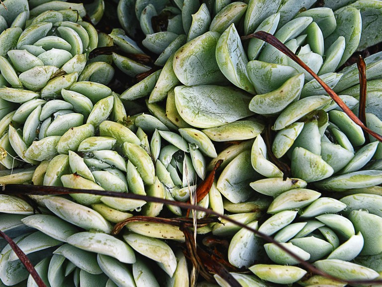 206_opg_20190731_Bretagne_Tregor_0014_DxO_1.jpg 206_opg_20190731_Bretagne_Tregor_0014_DxO_1.jpg