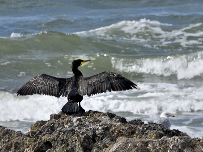 509_opg_20190811_Bretagne_LePouldu_0001.jpg