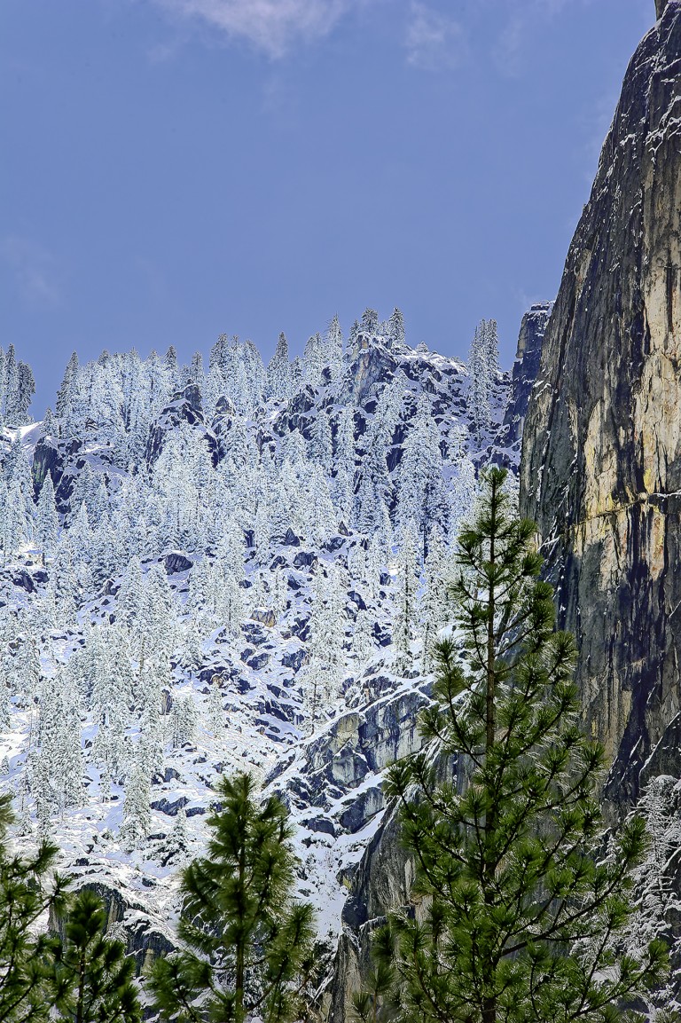 042_PapierNaturne2025_Aiguilles-Enneigées-dans-le-Yosémite_opg_20120414_USA_Yosemite_Montagnes_0101_DxO_1.jpg