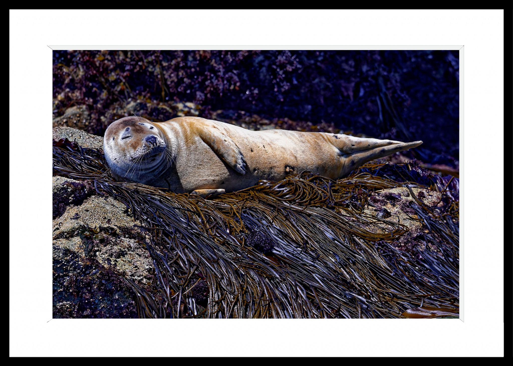 306_opg_20190802_Bretagne_SeoptIles_0102_DxO_1.jpg