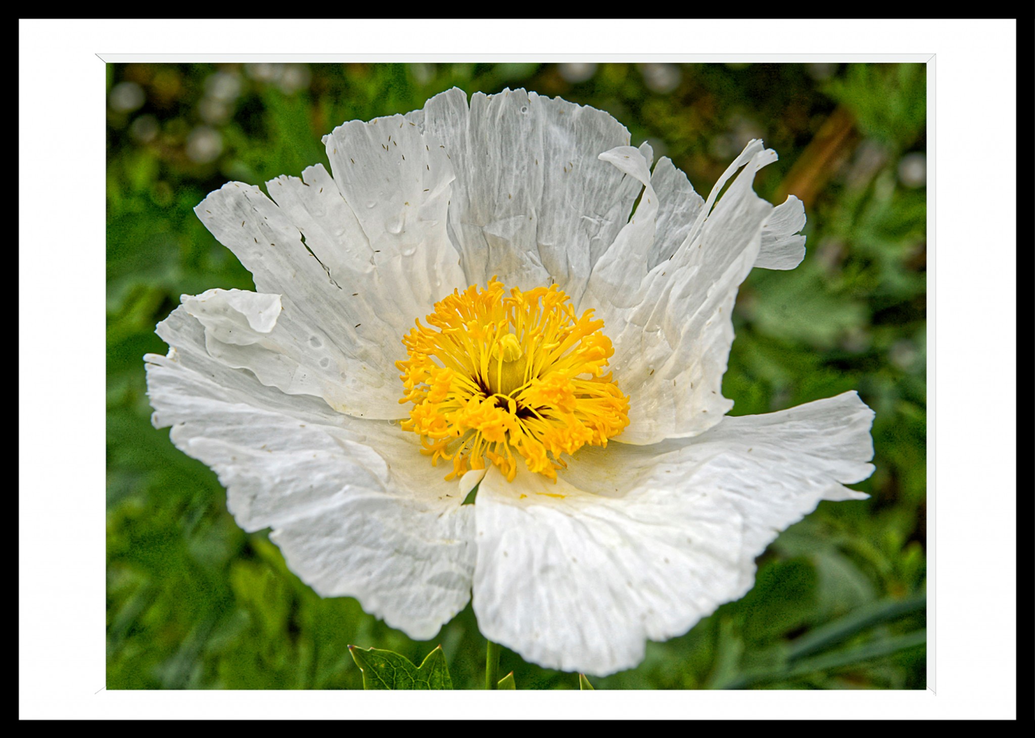 332_opg_20190731_Bretagne_Tregor_0024_Nik.jpg