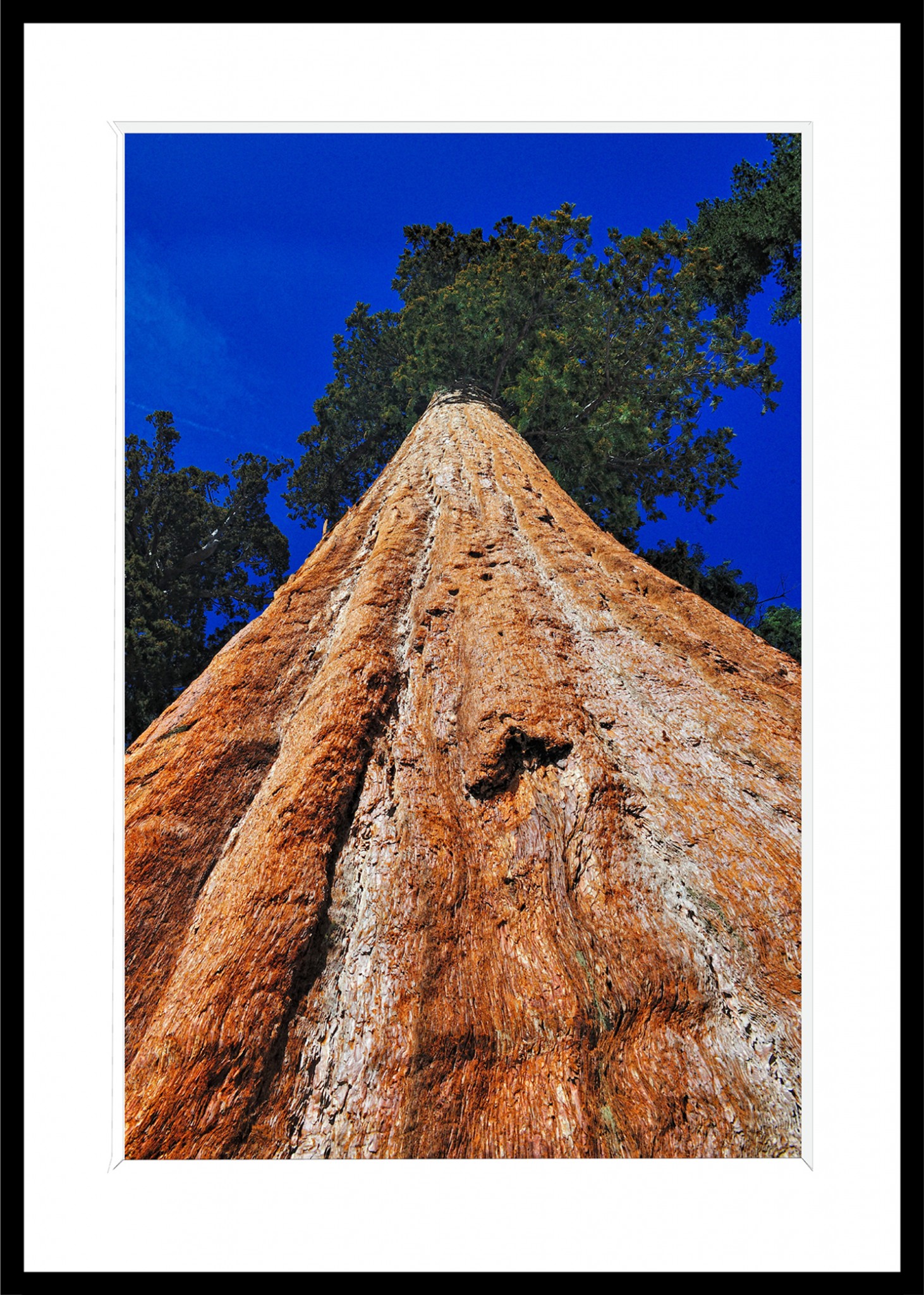 349_opg_20120420_Californie_Yosemite_Sequoia_0001.jpg