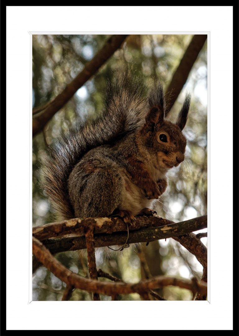 321_opg_20230521_Helsinki_Seurasaari_0123_DxO_1.jpg 321_opg_20230521_Helsinki_Seurasaari_0123_DxO_1.jpg