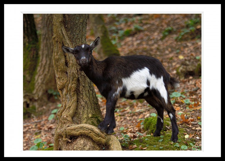 323_opg_20171029_Nantes_Clisson_0008.jpg 323_opg_20171029_Nantes_Clisson_0008.jpg