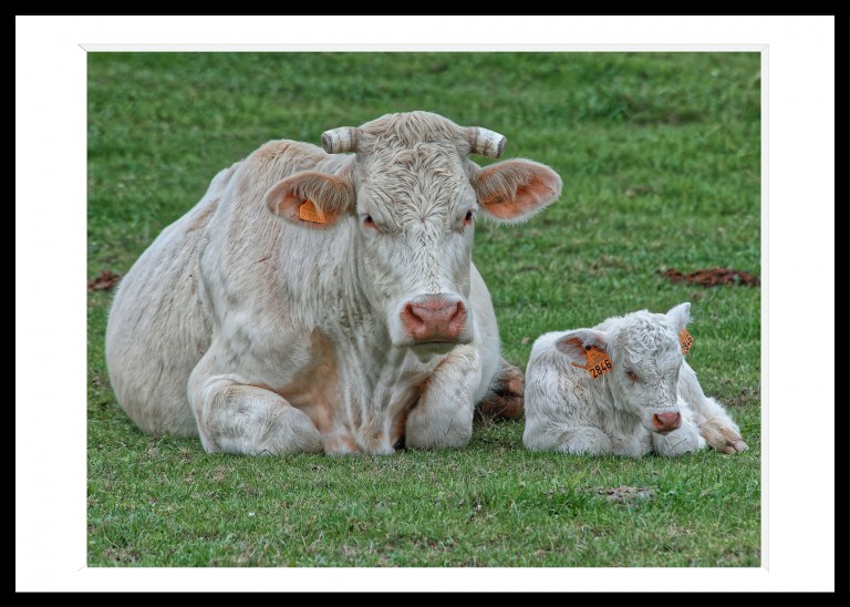 325_opg_20171029_Nantes_Clisson_0013_DxO_1.jpg 325_opg_20171029_Nantes_Clisson_0013_DxO_1.jpg