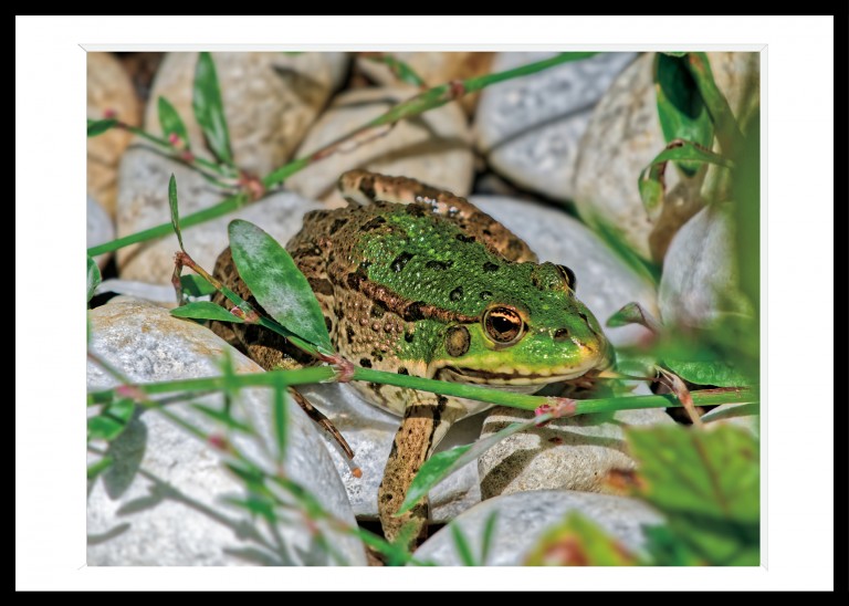 327_opg_20200713_France_Chaumont_0002_DxO_1.jpg 327_opg_20200713_France_Chaumont_0002_DxO_1.jpg