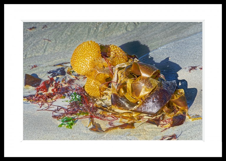 328_opg_20161001_Bretagne_Loctudy_0003_DxO_1.jpg 328_opg_20161001_Bretagne_Loctudy_0003_DxO_1.jpg