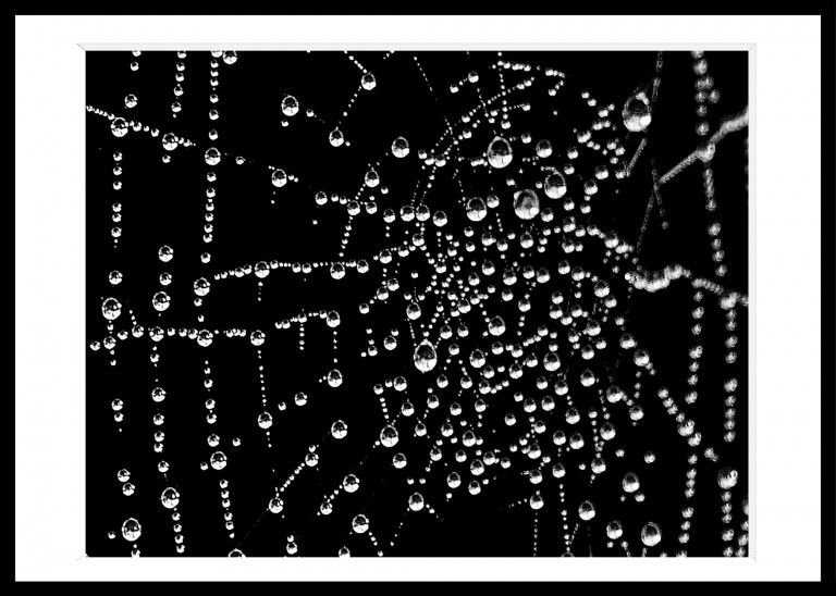 329_opg_20171018_Nantes_NordSurErdre_0203_DxO_1.jpg 329_opg_20171018_Nantes_NordSurErdre_0203_DxO_1.jpg