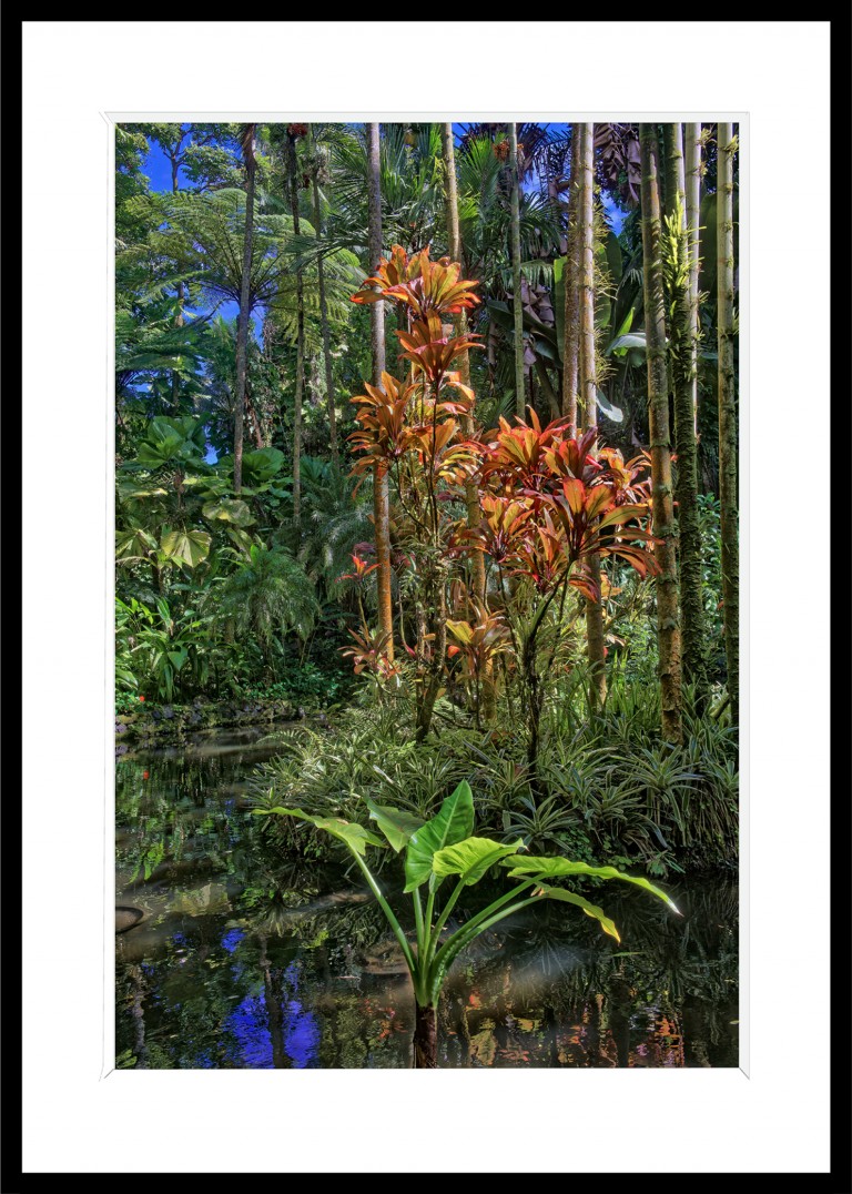 343_opg_20230104_Hawaii_OnomeaBay_0127_DxO_1.jpg 343_opg_20230104_Hawaii_OnomeaBay_0127_DxO_1.jpg