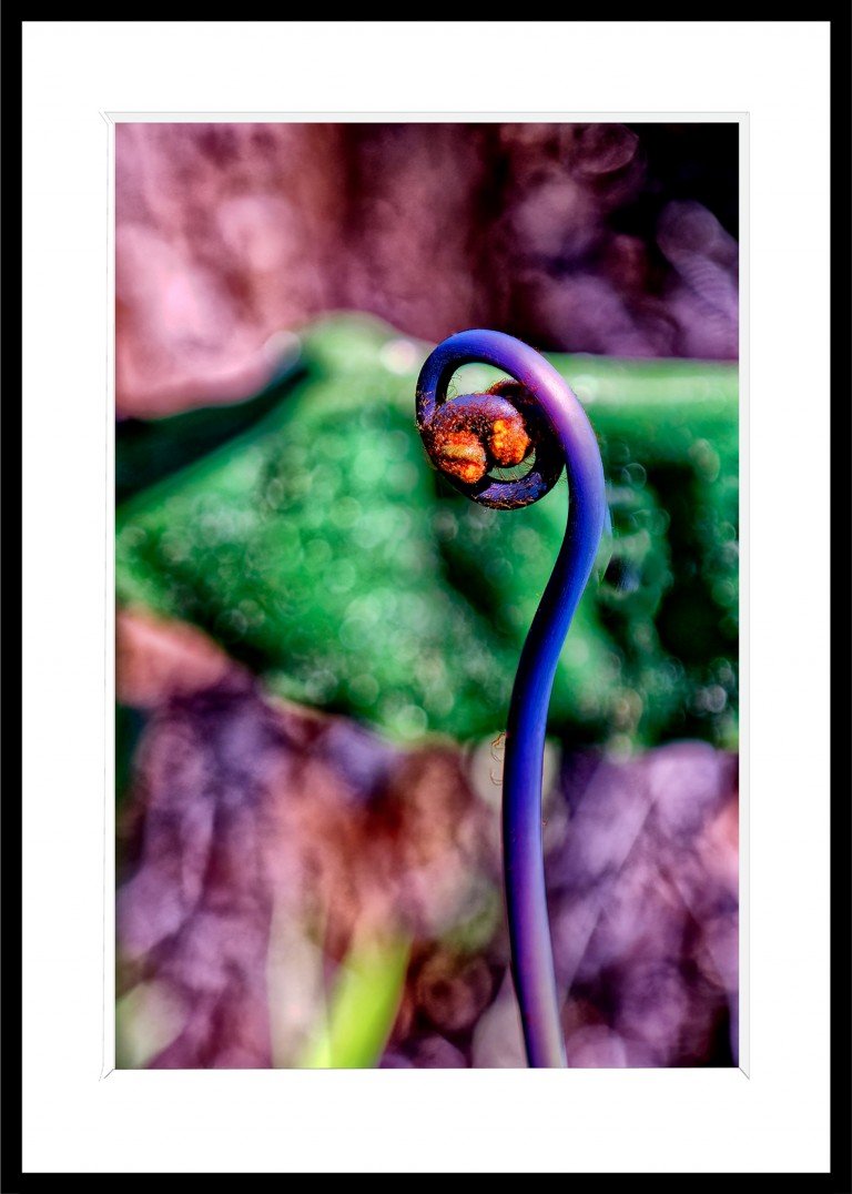 347_opg_20230110_Hawaii_Nahuku_0105_DxO_1.jpg 347_opg_20230110_Hawaii_Nahuku_0105_DxO_1.jpg