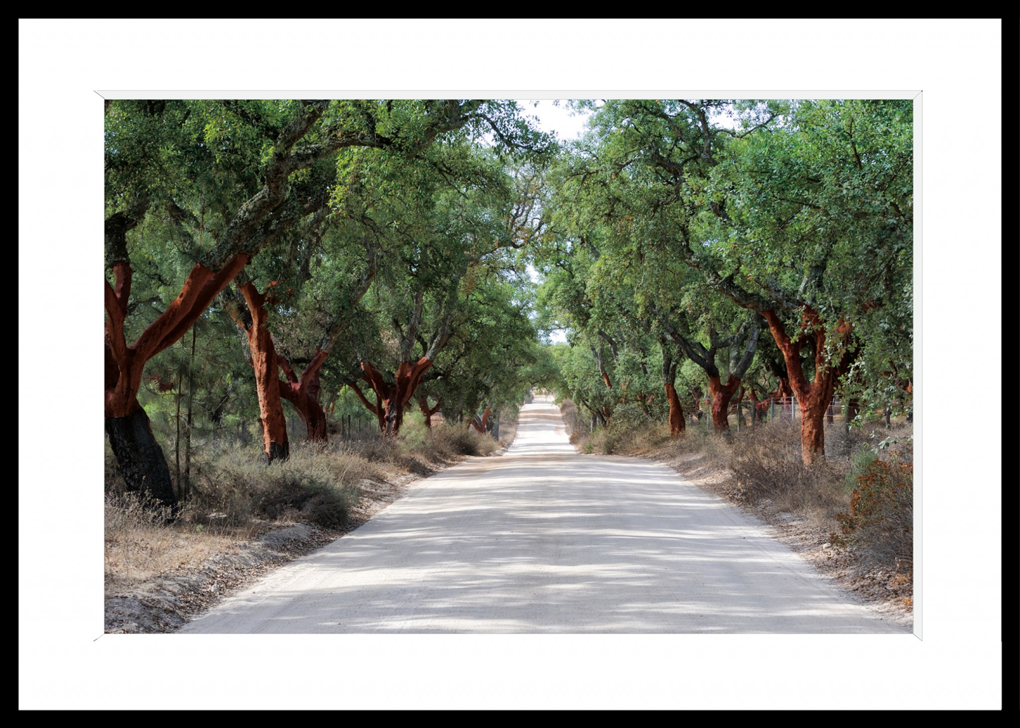 647_opg_20120917_Portugal_Alentejo_0001.jpg