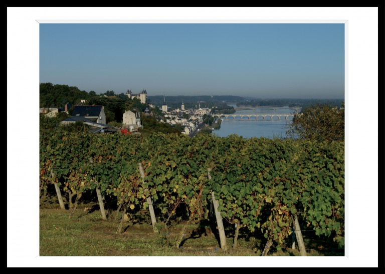 642_opg_20121015_France_Saumur_Vignes_0001.jpg