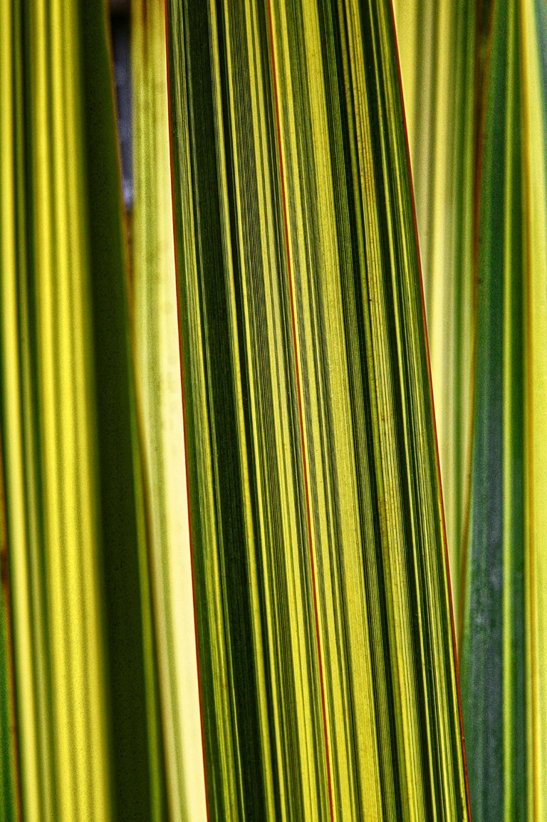 207_opg_20190731_Bretagne_Tregor_0023_DxO_DxO.jpg 207_opg_20190731_Bretagne_Tregor_0023_DxO_DxO.jpg